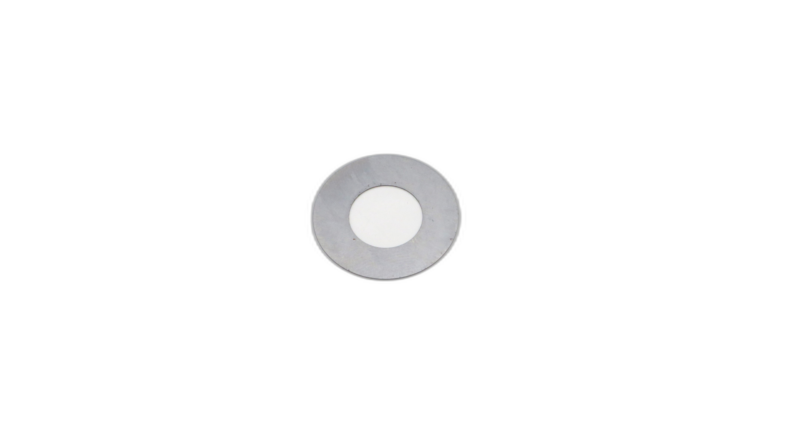 Valve Disc