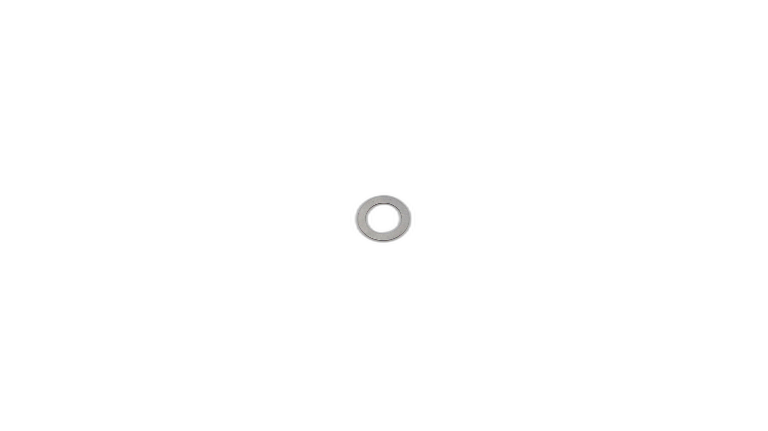 Valve Disc