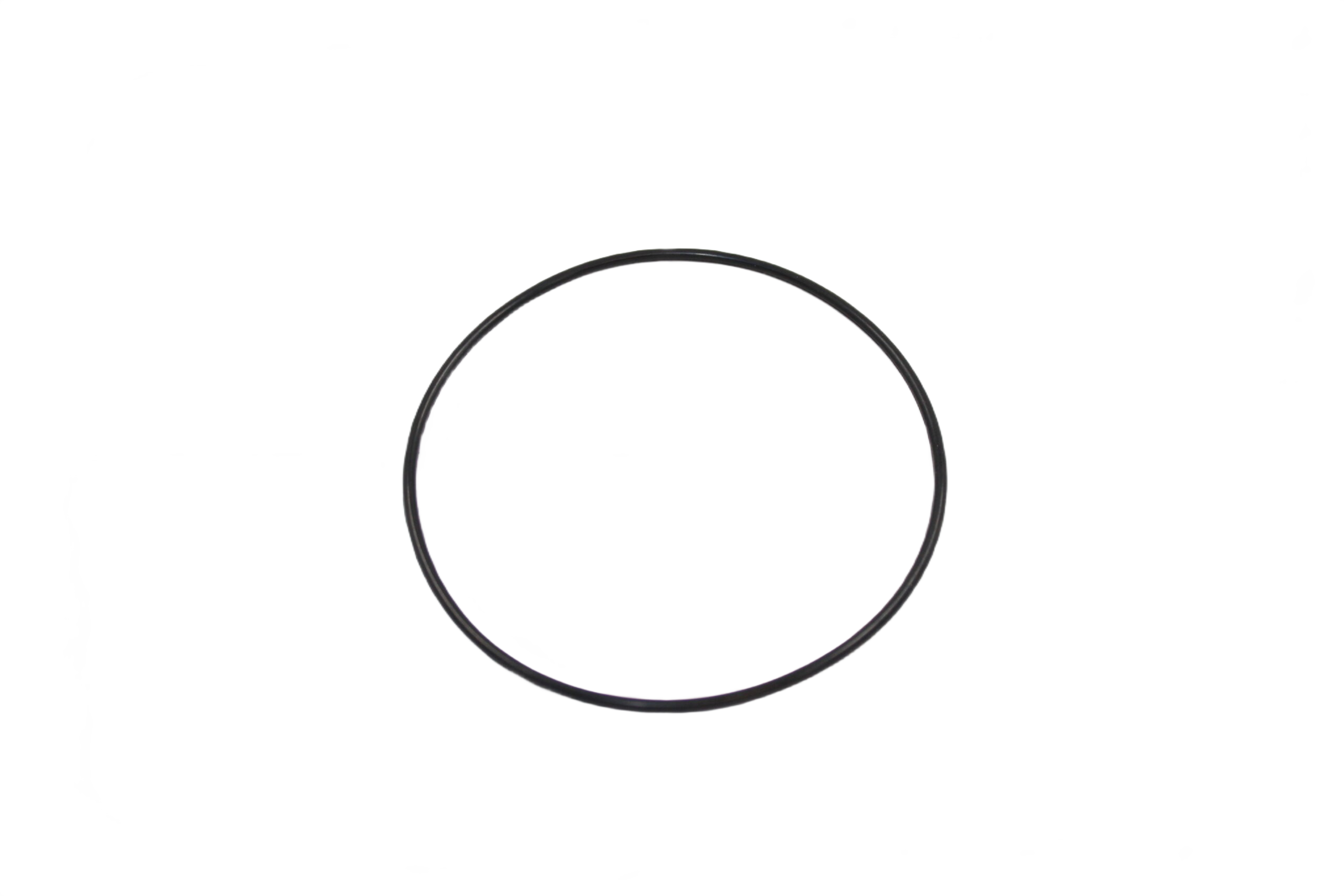Differential Housing O-Ring